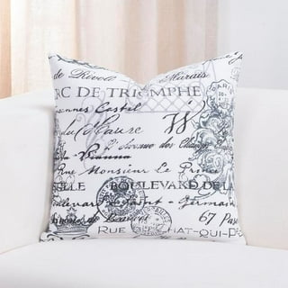 https://i5.walmartimages.com/seo/SIScovers-Sis-Covers-Promenade-French-Country-Throw-Pillow-Oversized-26-x-26_c754e7da-94e5-43de-a638-2f9710d04c43.9f6e8e4c998b3470fe571383bddec218.jpeg?odnHeight=320&odnWidth=320&odnBg=FFFFFF
