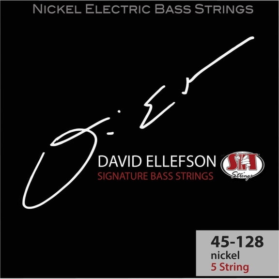 SIT Strings DE545128L David Ellefson Signature 5-String Bass Strings