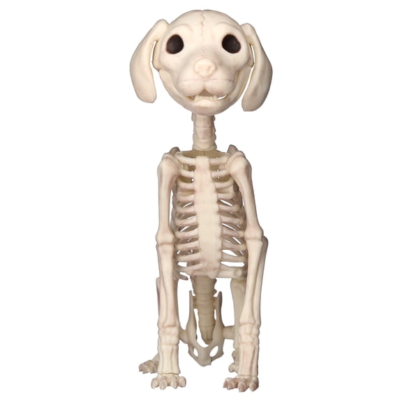 Faux Skeleton Precious Pup Decoration, 7.6", Halloween by Way To Celebrate