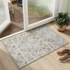Size: 2' x 3', Actual Color: Taupe