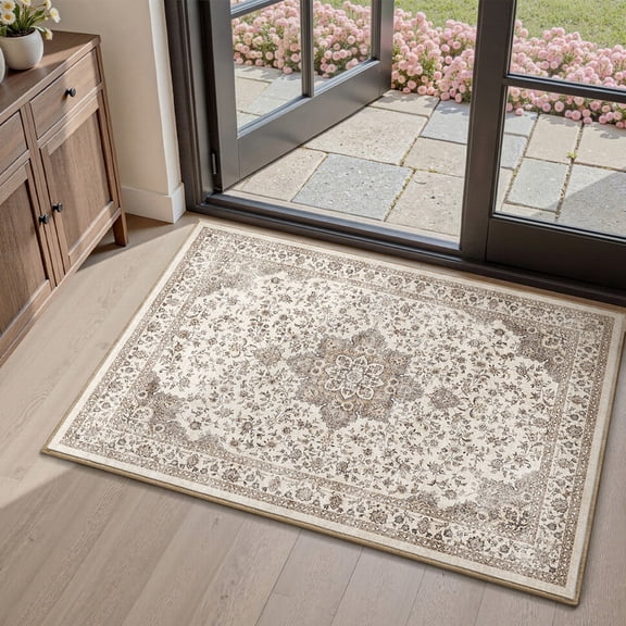 SIXHOME 2x3 Feet Area Rugs for Living Room Washable Rugs Carpet Soft Large Rugs for Bedroom Dining Room Office Home Decor Brown