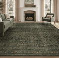 thumbnail image 1 of SIXHOME 6'x9' Area Rugs for Living Room Modern Area Rugs Machine Washable Rugs Green, 1 of 7