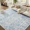 Size: 8' x 10', Actual Color: Blue