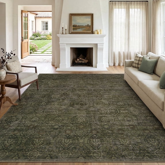 SIXHOME 8'x10' Area Rugs for Living Room Modern Area Rugs Machine Washable Rugs Green