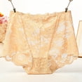thumbnail image 1 of SIYUDAN Womens Brief Underwear Women's Seamless Underwear plus Size Women plus Size Underwear Womens Underwear Seamless plus Size Lace Thongs for Women Variety Pack Lane Dress 14 Sheer Mesh Panties No, 1 of 3
