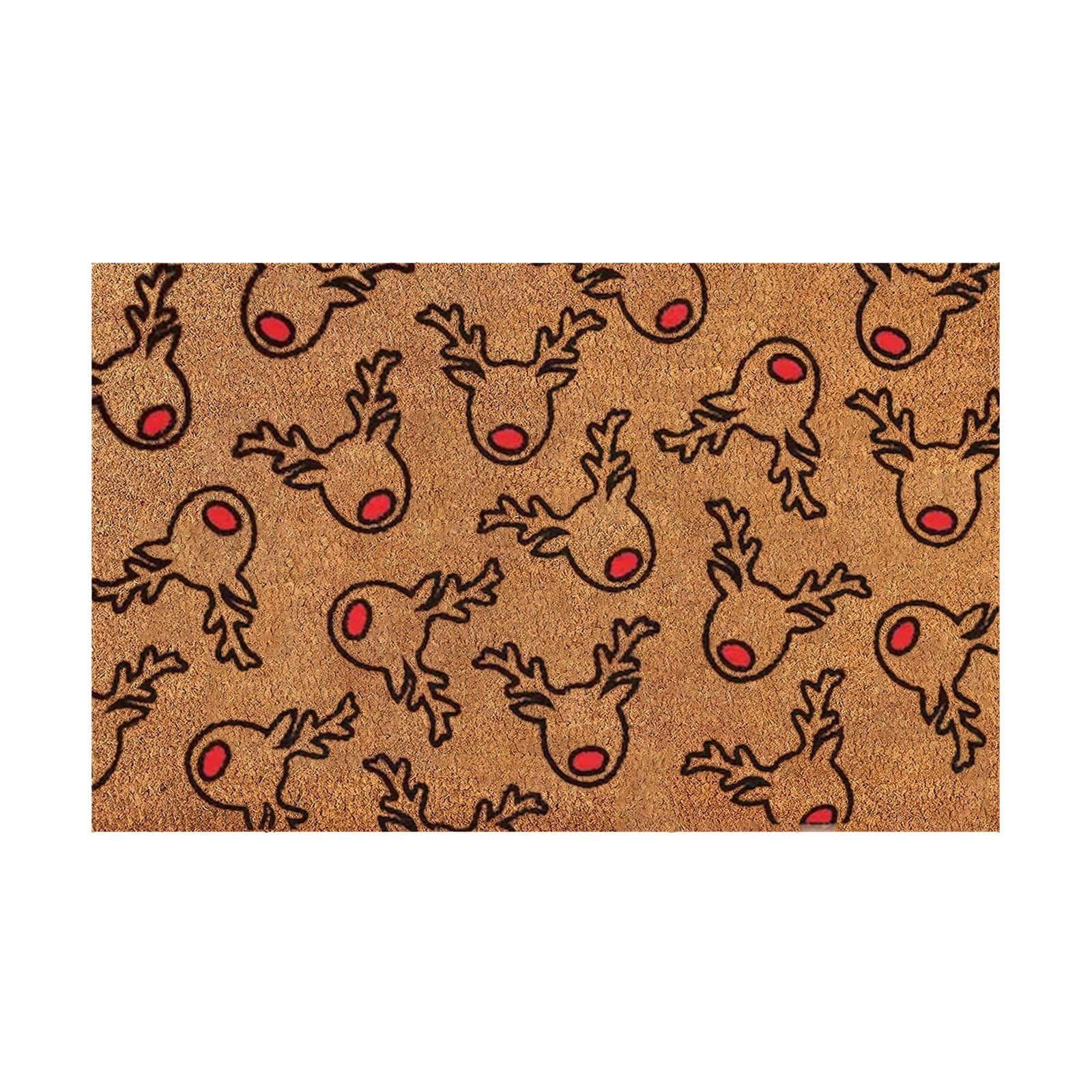 SIfdSeng Outdoor Door Mat Beachy Christmas Floral Cane