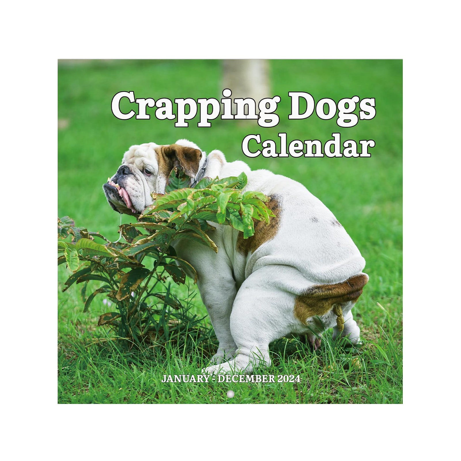 SIfdSeng Wall Calendars Large 2024 Funnycalendargift Dog Poop New Year
