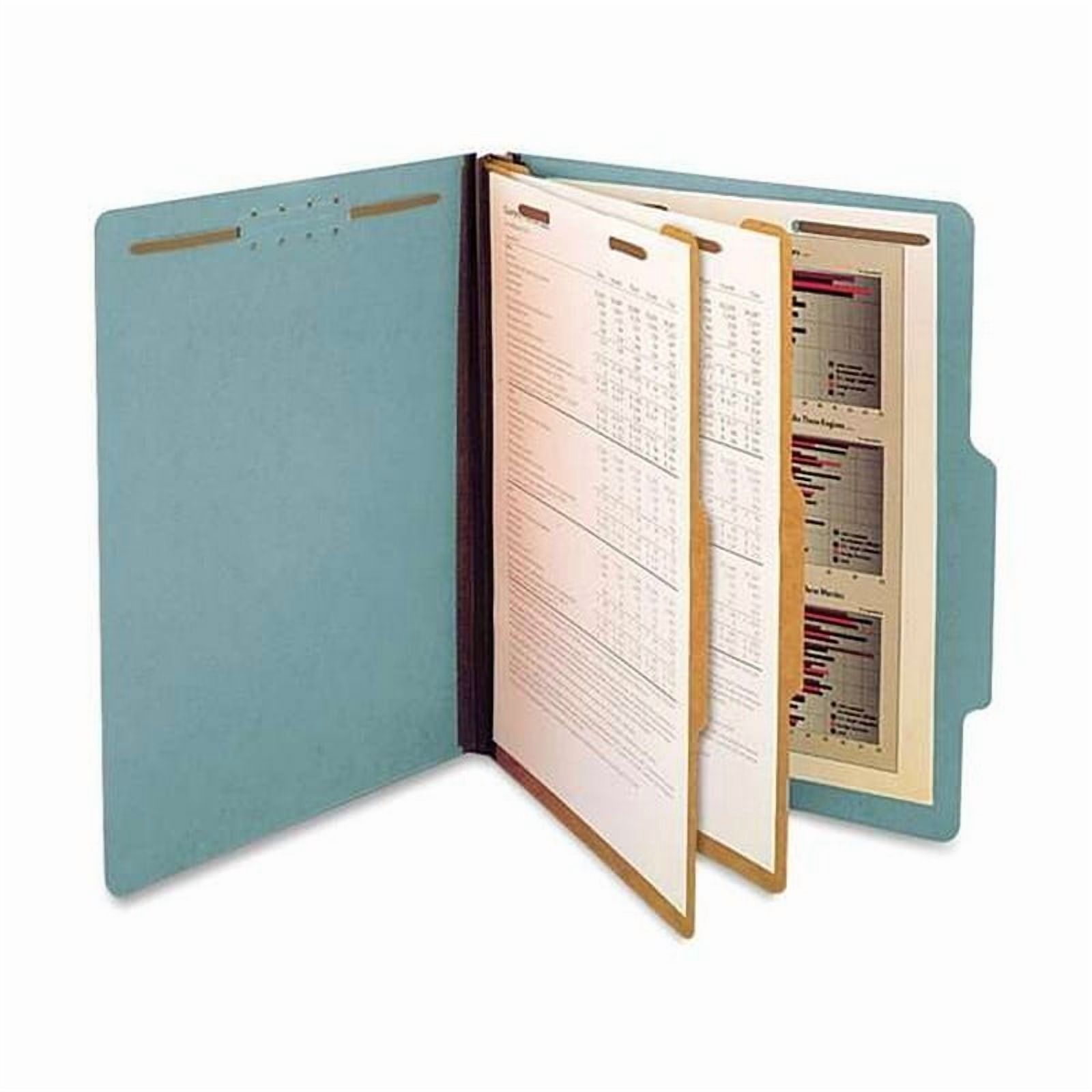 Folder Partition Sample Pressboard Classification Partition Folder, 2 Dividers, 2