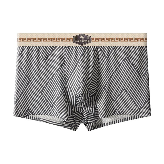 SJLDQY Mens Boxer Briefs Casual Graphic Ice Silk Boxer Briefs for Men Soft Breathable Plus Size Boxer Shorts for Men