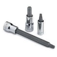 thumbnail image 1 of SK Hand Tool SK42960 T10 Long Torx Bit Socket 1/4" Drive, 1 of 1