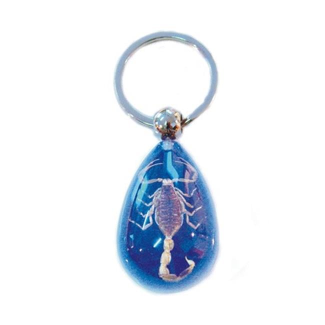 SK092 Real Bug Key Chain-Scorpion-Water Drop Shape-Clear Blue - Walmart.com