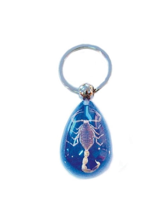SK092 Real Bug Key Chain-Scorpion-Water Drop Shape-Clear Blue
