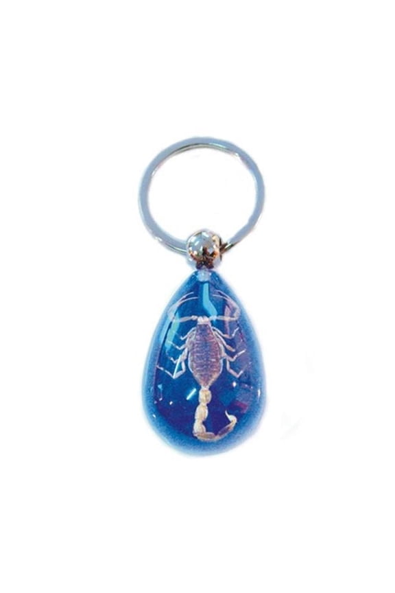 SK092 Real Bug Key Chain-Scorpion-Water Drop Shape-Clear Blue