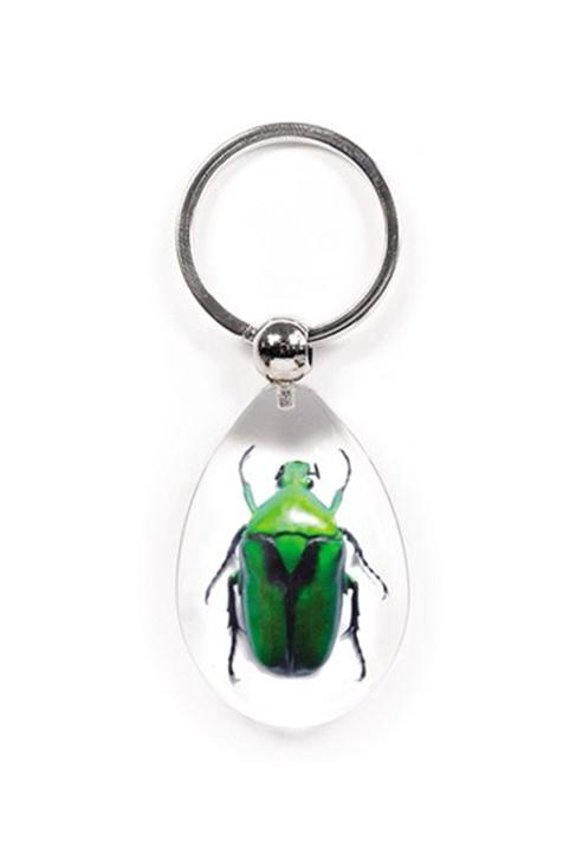 SK606 Real Bug Key Chain-Tear Drop Shape-Clear-Green Chafer Beetle