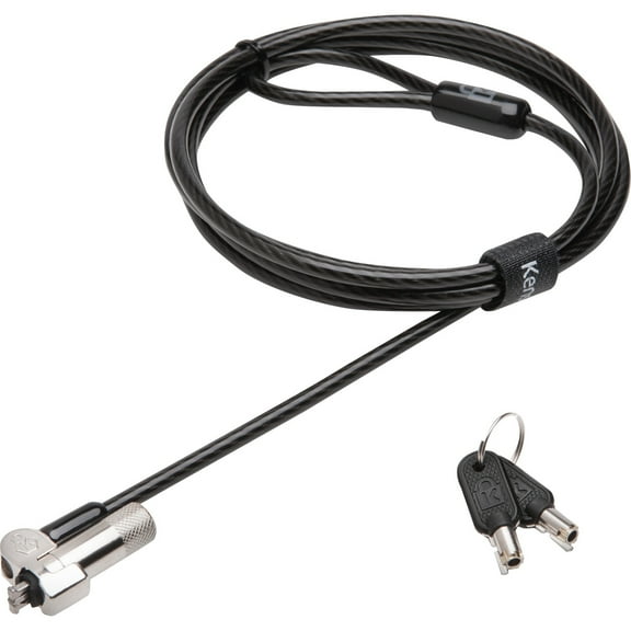 SKILCRAFT Keyed Laptop and Tablet Lock