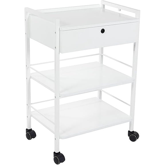 SKINACT Pro Single Drawer Cart Pro Medical Dental Mobile Utility Cabinet & Cart with Steel Frame and One Drawer