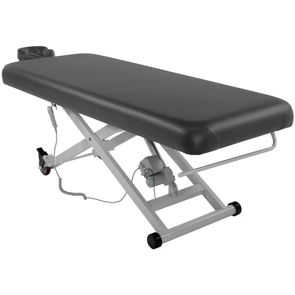 SKINACT Stella Electric Medical Spa Treatment Table Facial Chair/Bed (Gray)