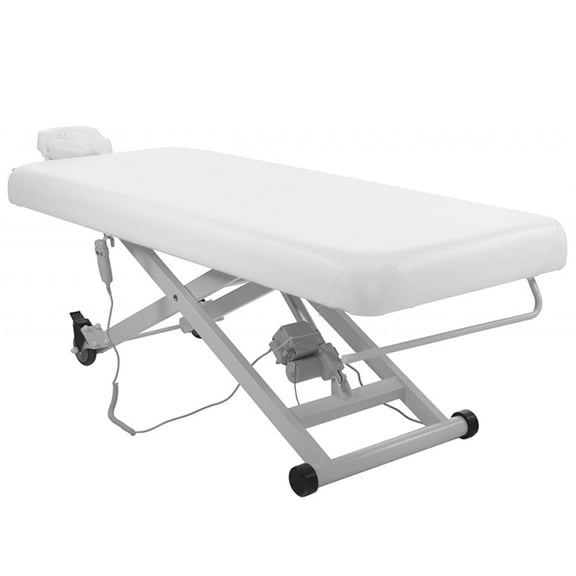 SKINACT Stella Electric Medical Spa Treatment Table Facial Chair/Bed (White)