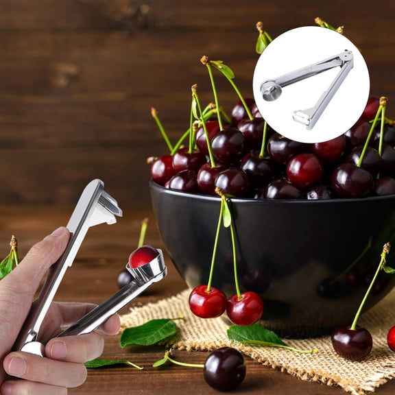 SKISUNO 1Pcs Stainless Steel Cherry Core Remover Tool for Homeowners Kitchen Use Fruit Pitting Tool