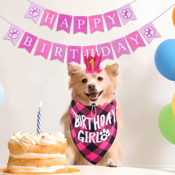 SKISUNO 1Set Pink Pet Birthday Party Set with Hat Bandana and Banner for Small Dogs Cats Rabbits