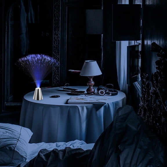 SKISUNO 2-Pack Fiber Optic LED Lights Colorful Decorative Lighting for Christmas Party and Holiday Events