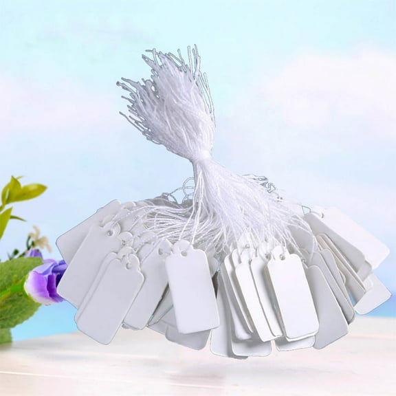 SKISUNO 500Pcs Price Display Tags for Business Owners and Retailers 1X0.5In