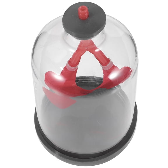 SKISUNO Breathing Demonstration Model Lung Red Plastic Rubber Teaching 1Pcs