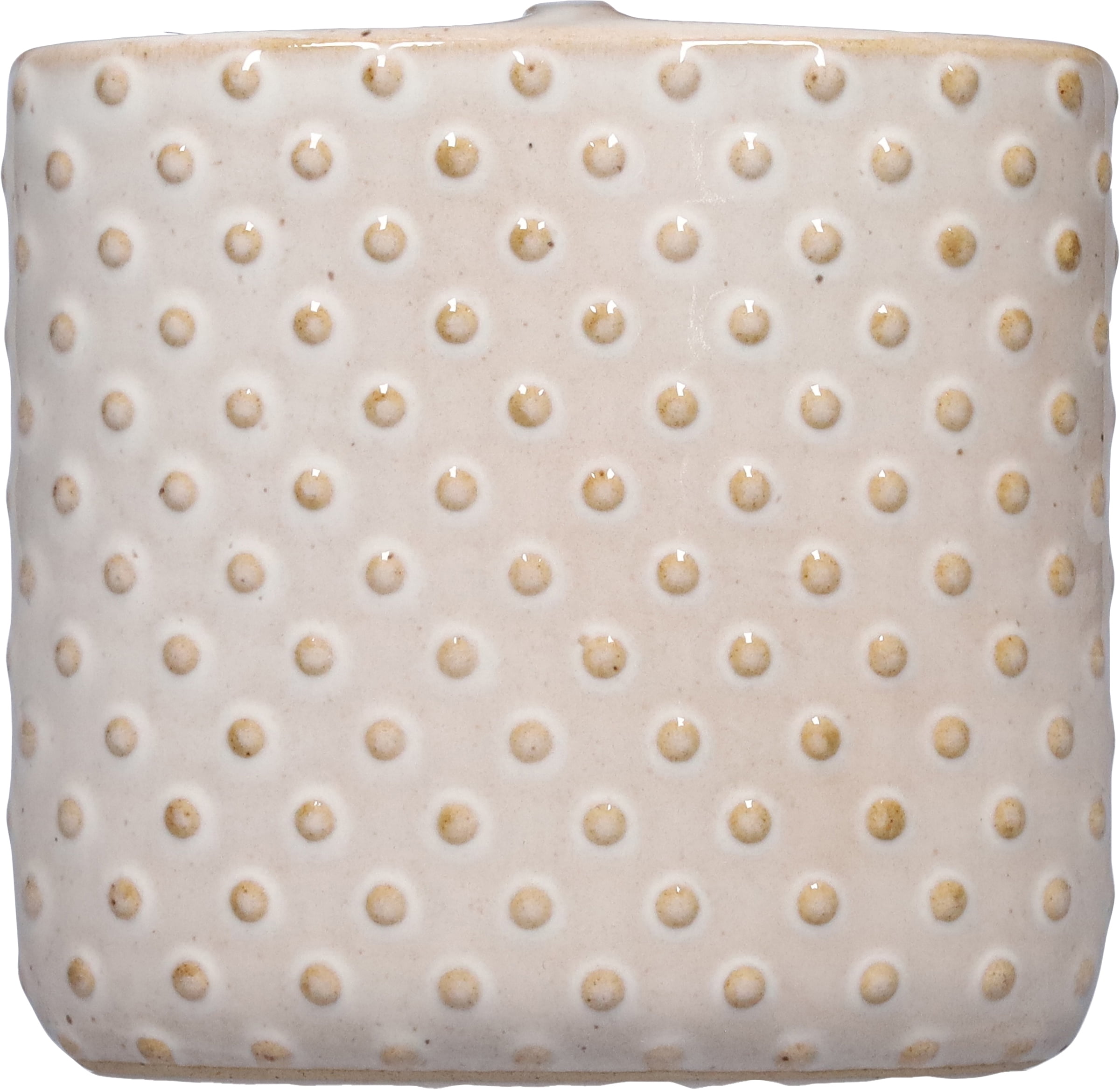 SKL Home Hobnail Toothbrush Holder