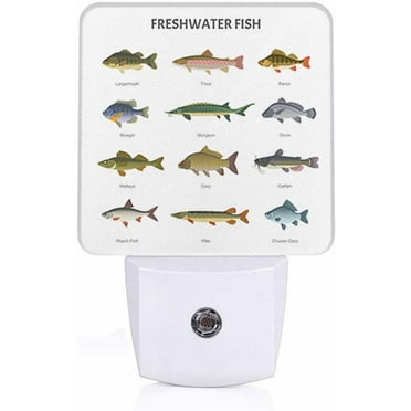 SKQIT Beautiful Underwater Lake Fish Night Light, Dusk to Dawn Smart Sensor Nightlight for Bedroom Bathroom Hallway Stairs Hallway, Plug-in, Energy Efficient Decor Desk Lamp Gifts