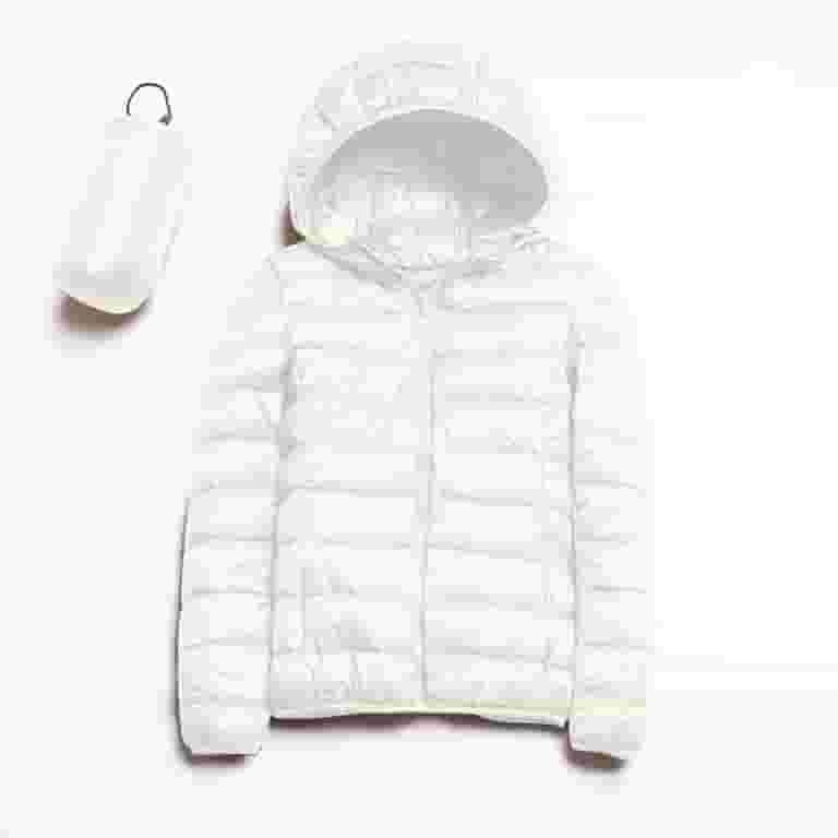 Solid Color Short Zip Jacket Solid Color Short Zip Jacket