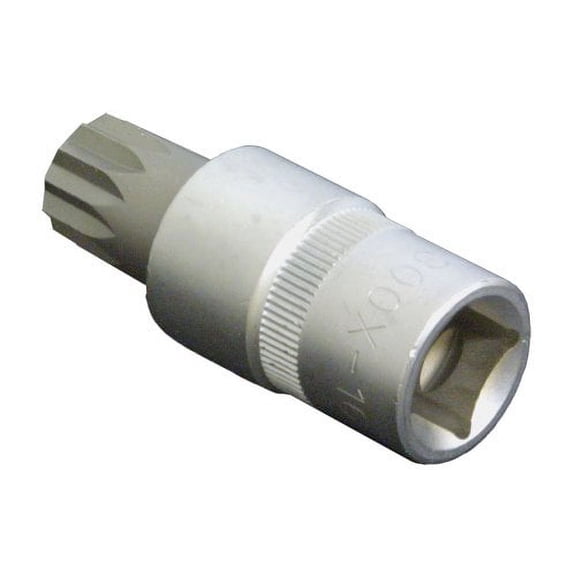 SKT 16MM 12PT DRAIN PLUG