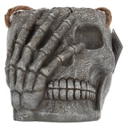 Blow Mold Skull Hanging Holder, Gray, Halloween by Way To Celebrate