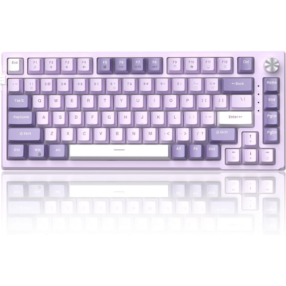 SKY81 75% Mechanical Gaming Keyboard, Gasket Hot Swappable Wired Custom Creamy Keyboard with 5-Layer Sound Dampening, Knob Control, RGB Backlit, NKRO for Win/Mac (Violet, Violet Switch)