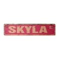 thumbnail image 1 of SKYLA Vintage Plastic Street Sign Childrens Name Room Sign | Indoor/Outdoor |  24" Wide, 1 of 4