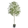 thumbnail image 1 of SKYSHALO 5FT Artificial Olive Tree, Pre-assembled Faux Olive Tree in Black Plastic Pot, Indoor Fake Potted Tree with Natural Wood Trunk and Lifelike Fruits, Artificial Plants for Home Office Decor, 1 of 9