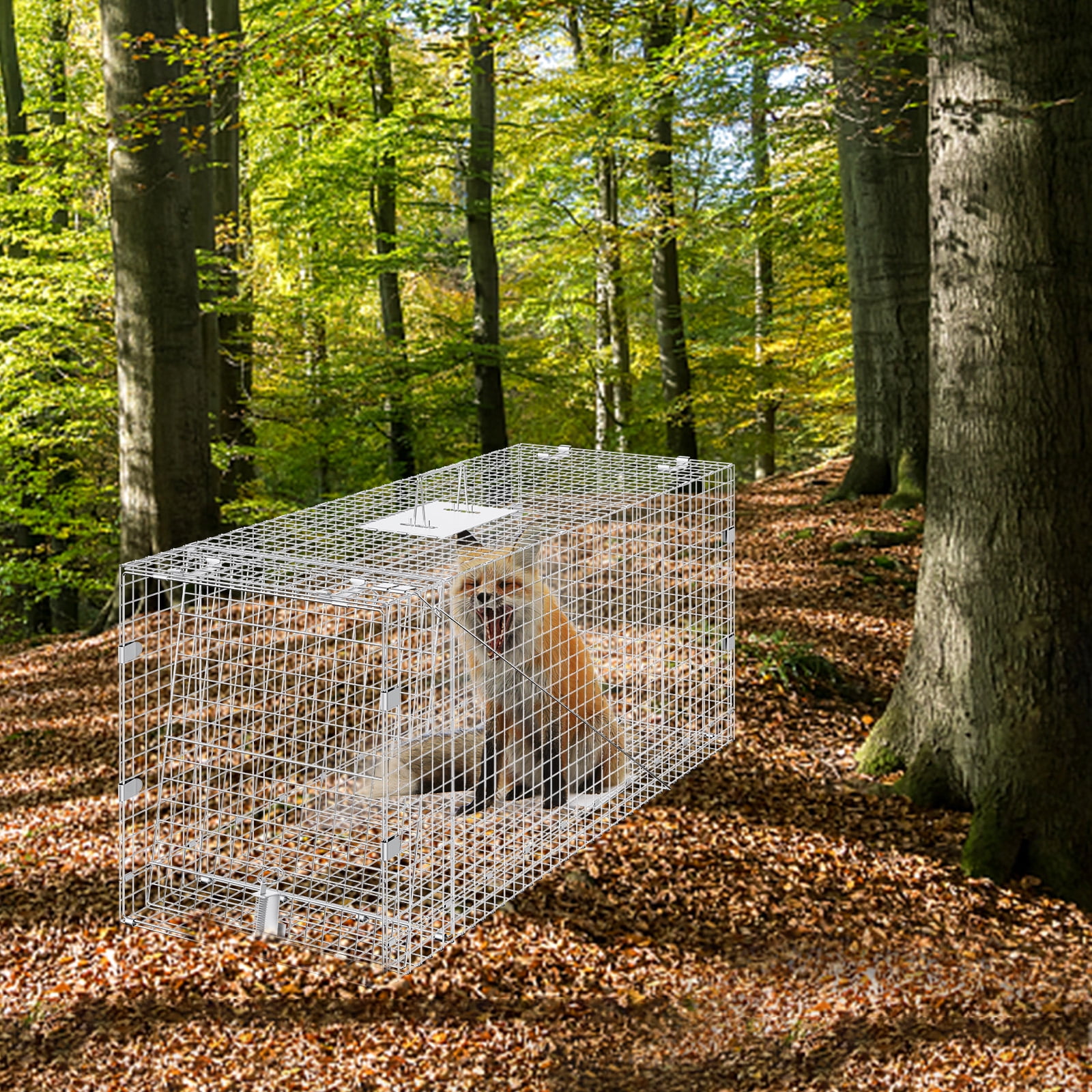 SKYSHALO Live Animal Cage Trap 50" x 20" x 26" Humane Cat Trap Cats