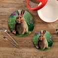 thumbnail image 1 of SKYSONIC 2Pcs Fluffy Little Bunny Spring Flower Pot Holders Trivets, Cute Rabbit Cotton Thread Weave Trivet Heat Resistant Mats Pot Teapot Protection Table Decorative, 1 of 7
