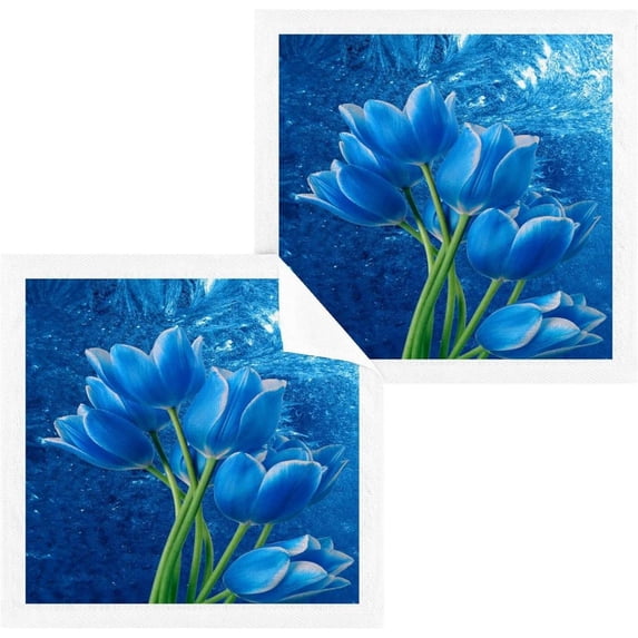 SKYSONIC 6 PCS Snowdrops Frost Baby Washcloths Towel Set, Highly Absorbent & Soft Cotton Wash Cloths 12"x 12" Face Hand Towels for Bathroom, Multi-Purpose Fingertip Towels