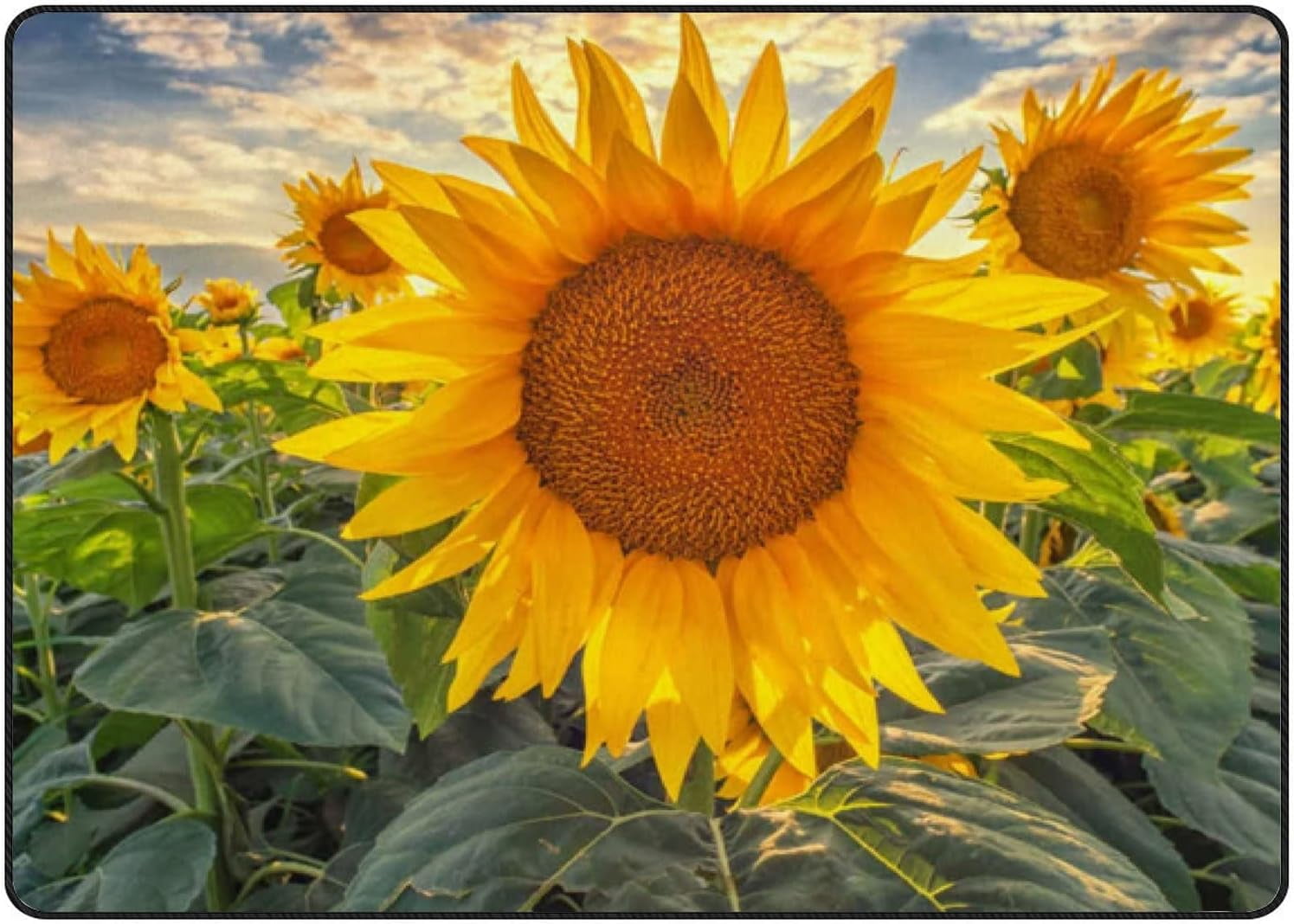 SKYSONIC Area Rug Beautiful Sunflower Field in Sunset Nursery Rug Floor ...
