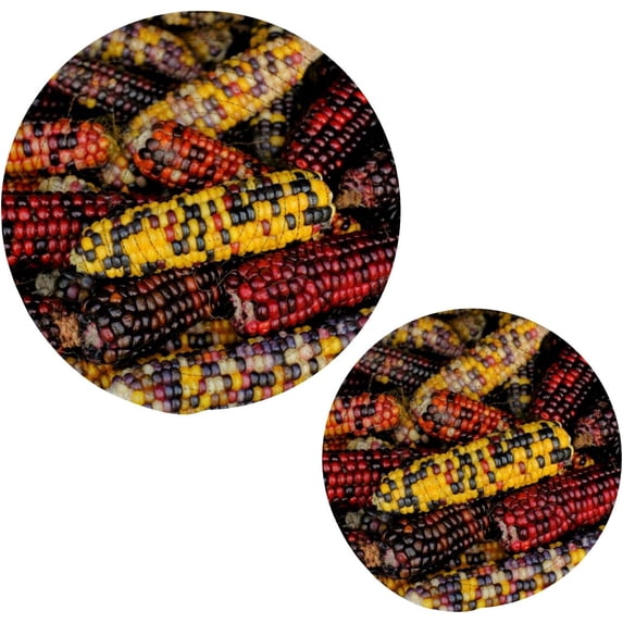 SKYSONIC Autumn Corn Cobs Fall Pot Holders Trivets, 2 Pcs Heat Resistant Trivets, Cotton Thread Weave Mats for Hot Pads Pans Pot Bowl Teapot for Kitchen Decor