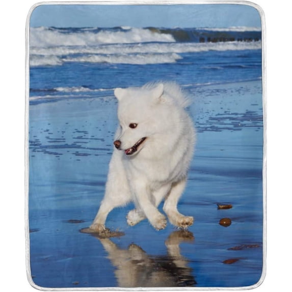 SKYSONIC Baby Kids Cozy Warm Throw Thermal Soft Bed Blanket 50x60 in White Dog Samoyed Playing Flannel Fleece Blanket