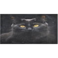 thumbnail image 1 of SKYSONIC Black Cat Pattern Kitchen Mats 20"x39" Absorbent Non Slip Runner Rug Machine Washable Kitchen Floor Mat for Home Bathroom Door, 1 of 7