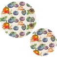 thumbnail image 1 of SKYSONIC Colorful Pumpkins Pot Holders Trivets, 2 Pcs Heat Resistant Trivets,Autumn Leaves Birds Cotton Thread Weave Mats for Hot Pads Pans Pot Bowl Teapot for Kitchen Decor, 1 of 7