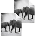 thumbnail image 1 of SKYSONIC Elephant Cotton Washcloths Set of 6, Highly Absorbent Soft Fingertip Towel for Bathroom, Gym, Hotel and Spa, 12 x 12 Inch, 1 of 7