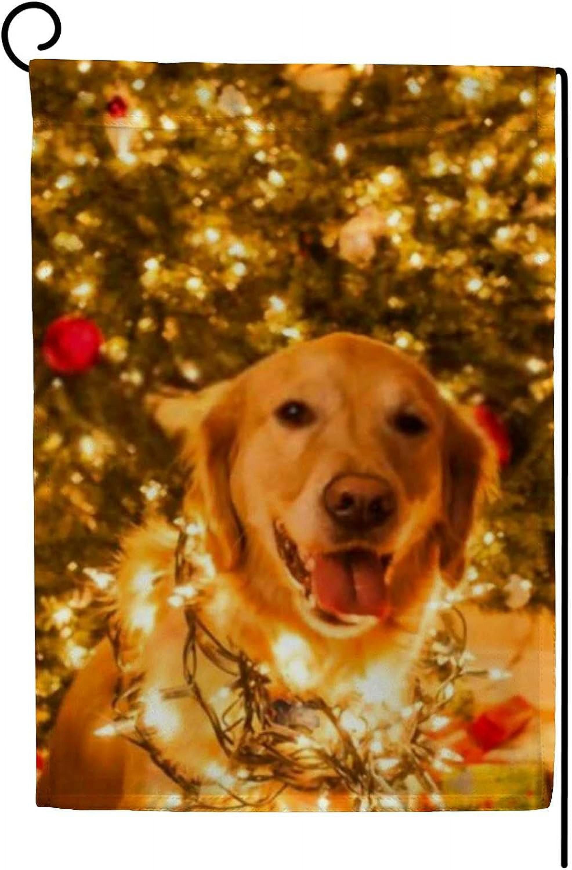 SKYSONIC Golden Retriever Dog Sits Wrapped in Christmas Lights Double ...