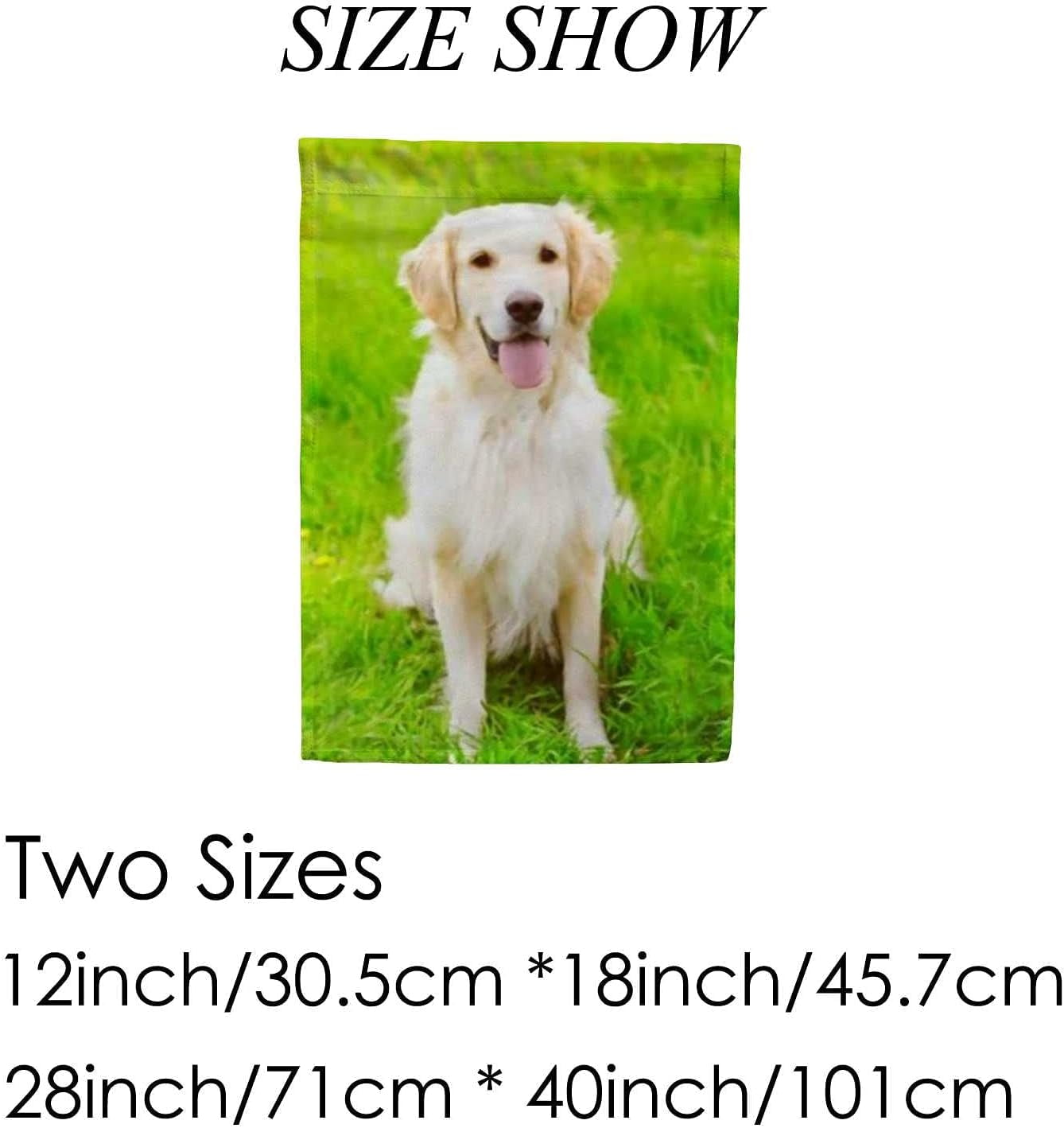 SKYSONIC Happy Golden Retriever Dog Sitting on The Green Grass Double ...
