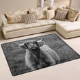 thumbnail image 1 of SKYSONIC Highland Cattle Funny Non-Slip Area Rug, Scottish Cow Animal Floor Carpet Comfort Floor Mats Decor for Indoor Front Porch Living Room Bedroom Kitchen, 36"x24", 1 of 5