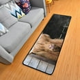 thumbnail image 1 of SKYSONIC Highland Cow Runner Rug, 2' x 6' Non Slip with Rubber Backing Funny Face Washable Soft Area Rug Carpet Entryway Rug Runner for Hallway Bedroom Kitchen Decor, 1 of 6