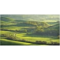 thumbnail image 1 of SKYSONIC Ldyllic Green Space Kitchen Mats 20"x39" Absorbent Non Slip Runner Rug Machine Washable Kitchen Floor Mat for Home Bathroom Door, 1 of 7