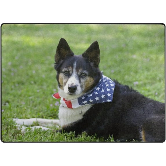 SKYSONIC Lightweight Carpet Mats Area Soft Rugs Floor Mat Rug Home Decoration for Kids Room Living Room 63 x 48 inches Heeler Mix Breed Dog with Flag